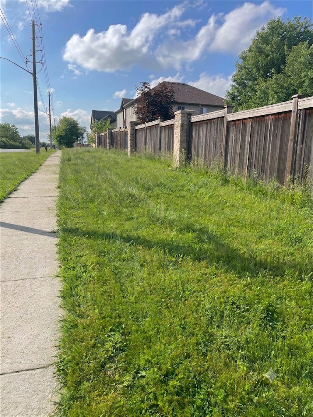 An overgrown Guelph lawn before Soulvera service
